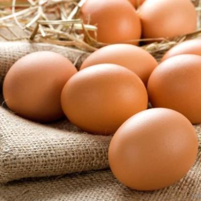 Яйцо куриное